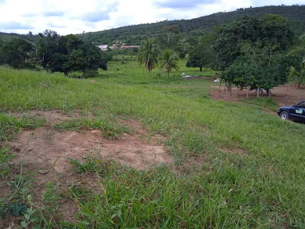 Fazenda a Venda