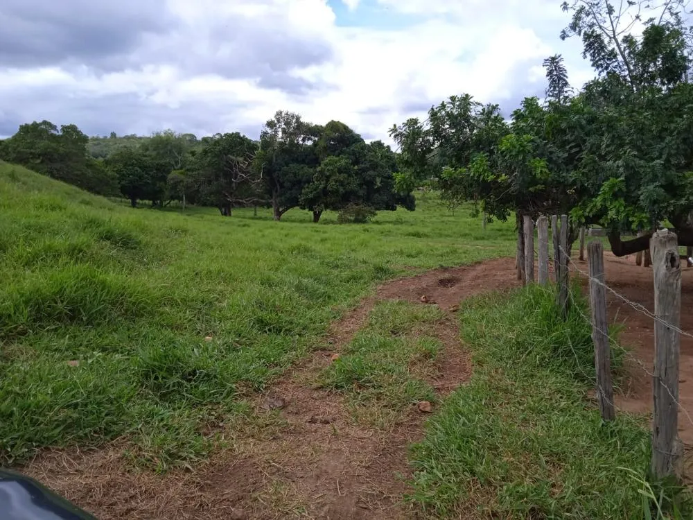 Fazenda a Venda