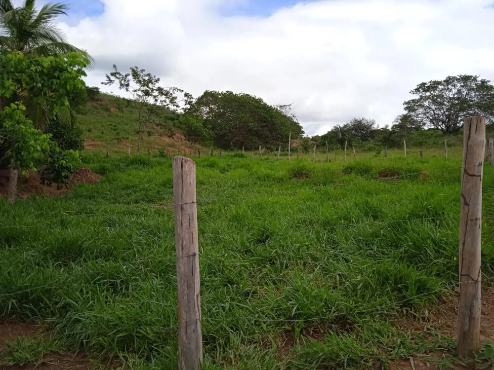 Fazenda a Venda