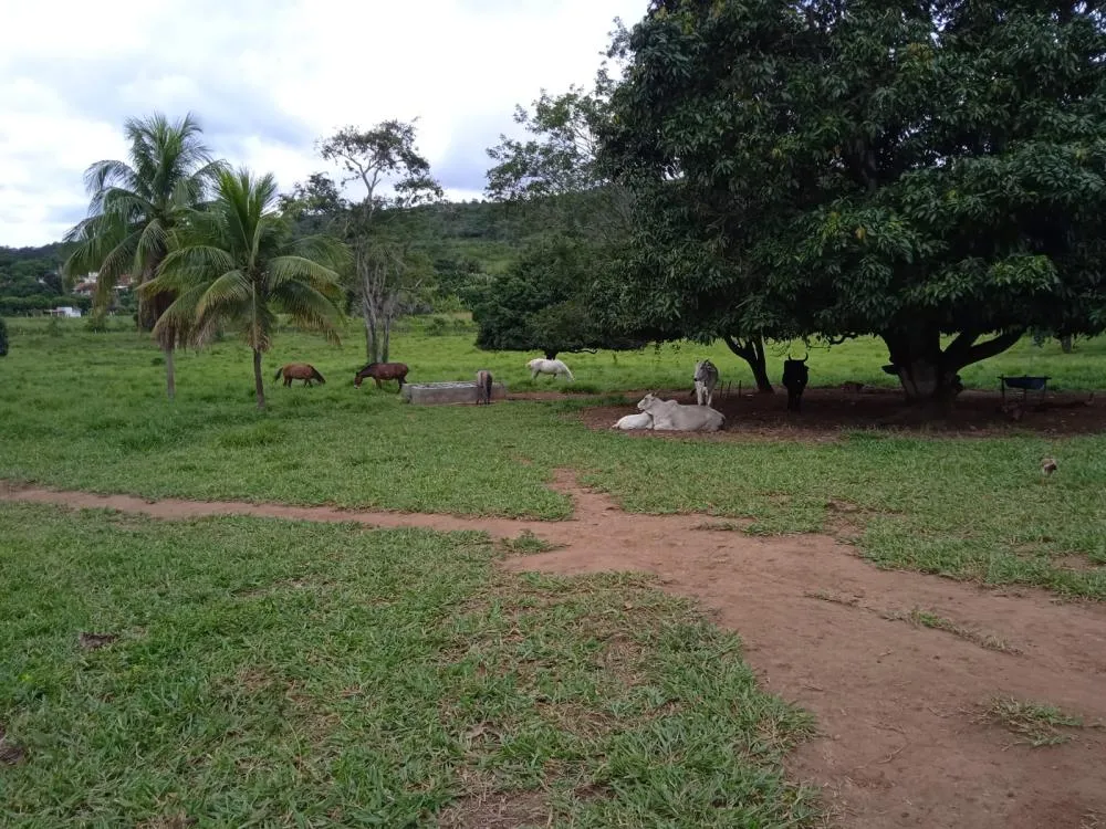 Fazenda a Venda