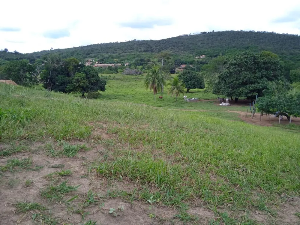 Fazenda a Venda