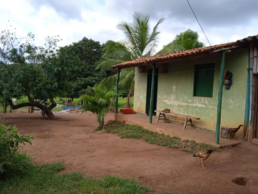Fazenda a Venda