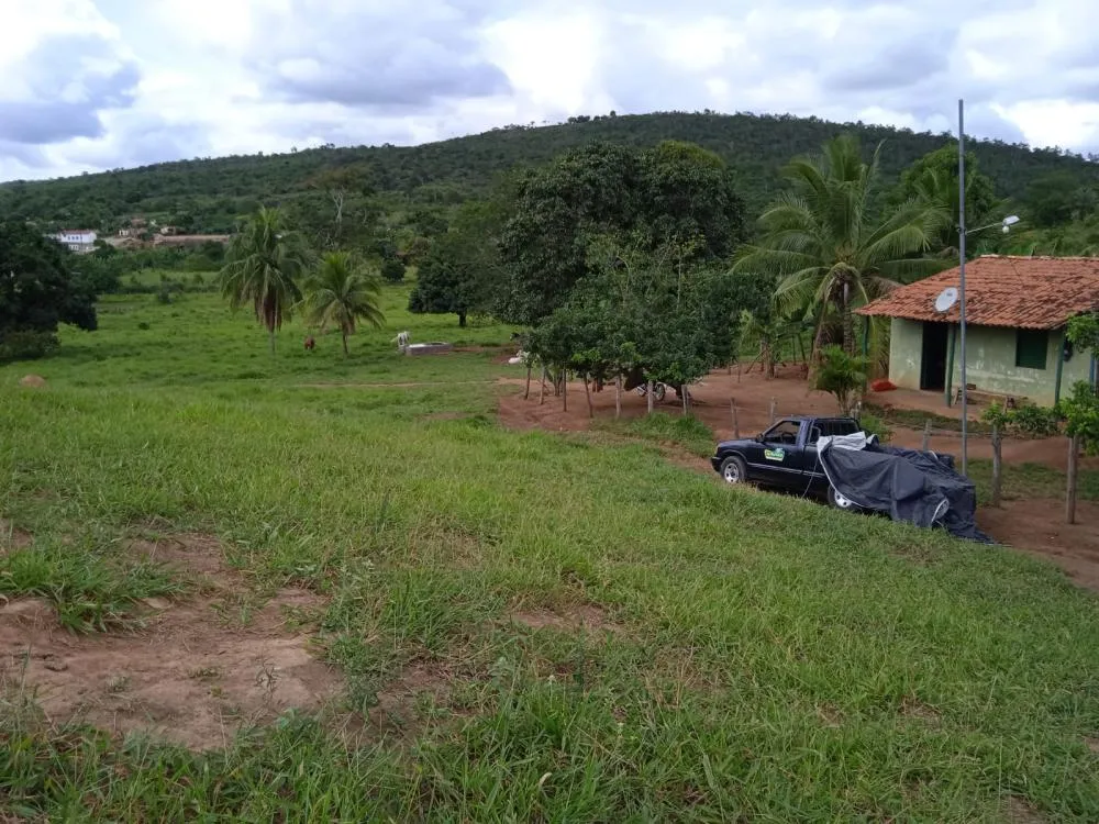 Fazenda a Venda