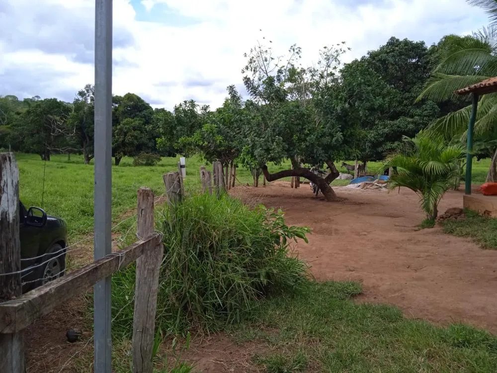 Fazenda a Venda