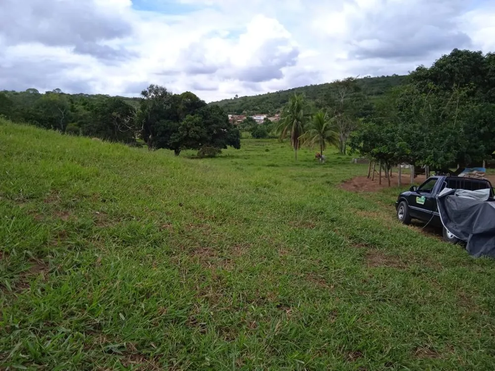 Fazenda a Venda