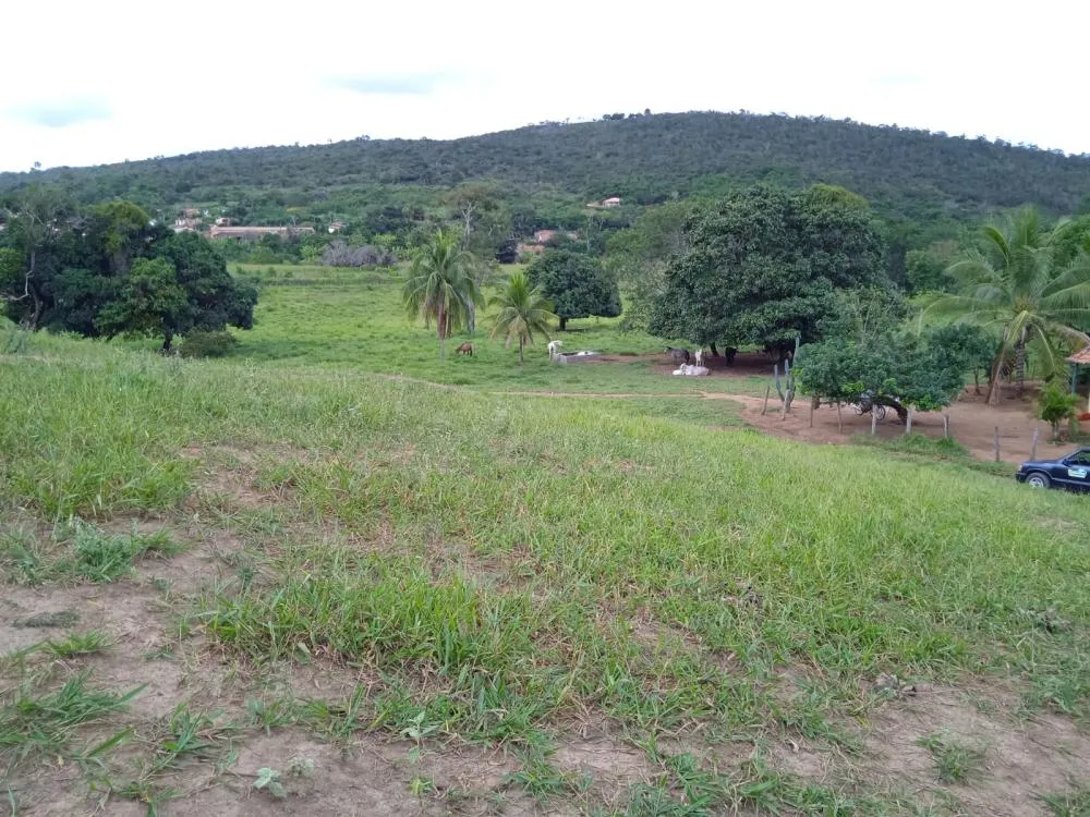 Fazenda a Venda