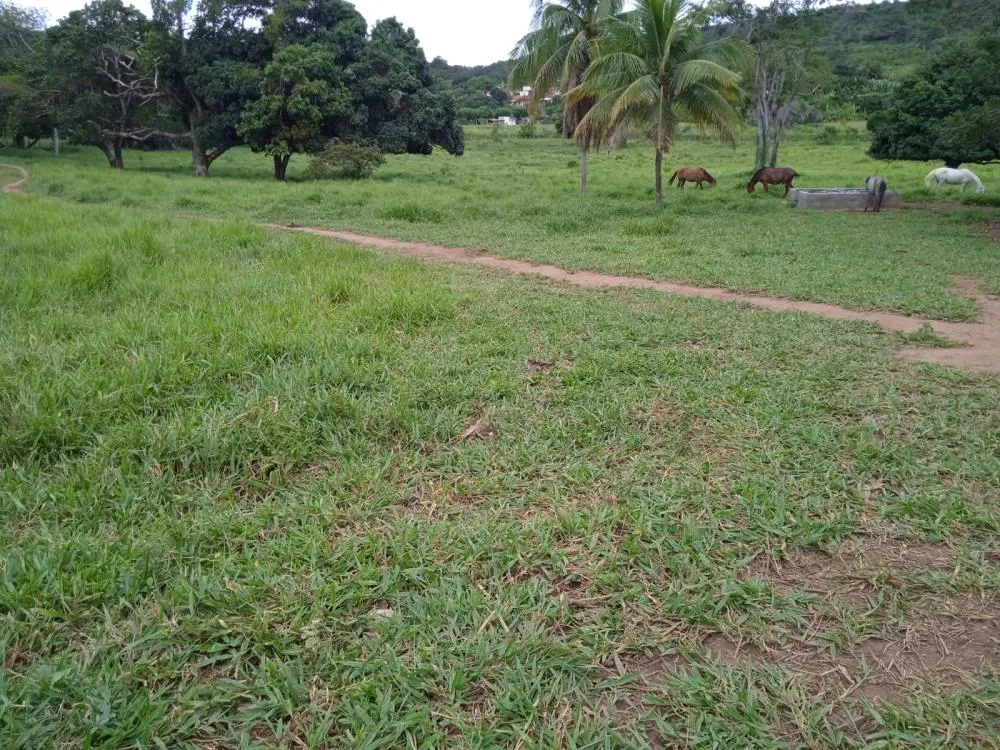 Fazenda a Venda