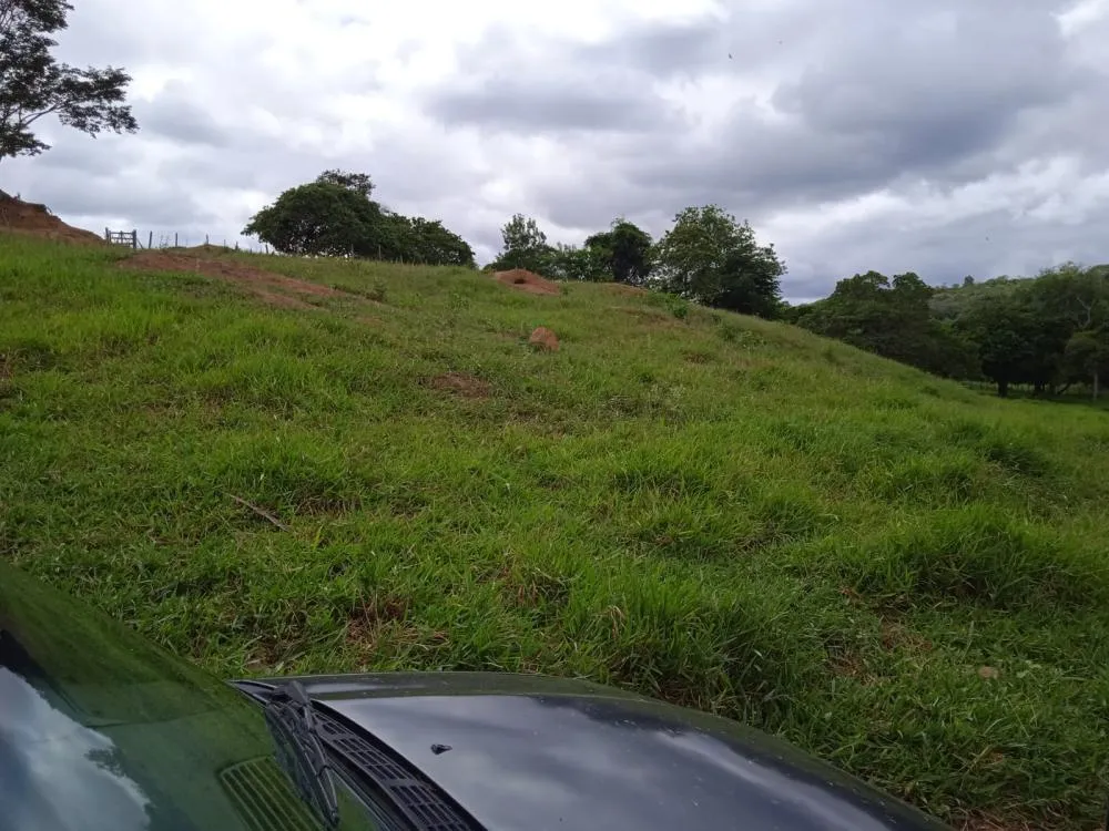 Fazenda a Venda