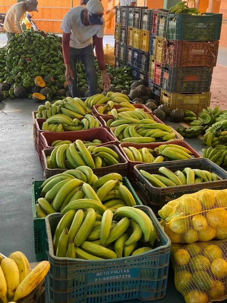 Utinga distribui 12 toneladas de alimentos e fortalece agricultura familiar com programa federal
