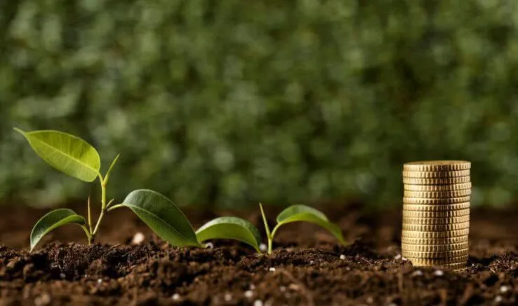 PIB da Bahia cresce em 2025 com agronegócio respondendo por 22,1%