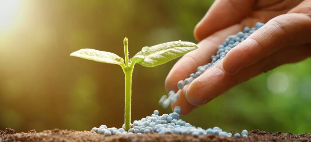 Guerra no Irã eleva custo de fertilizantes e intensifica endividamento no agro brasileiro, afirma especialista